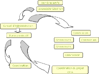 exemple rapport de stage dans une association