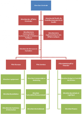 online transplantation in hematology and oncology 2000