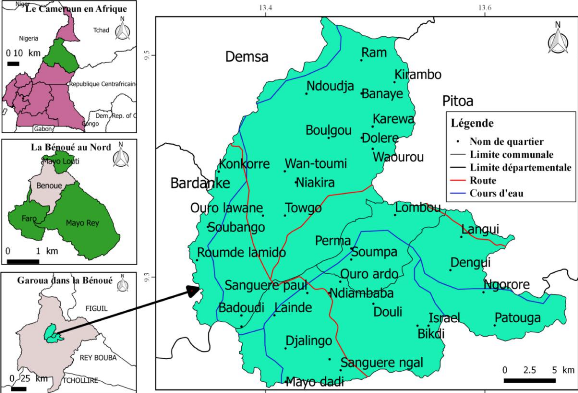 Pénurie d'eau potable au Cameroun : comment y remédier