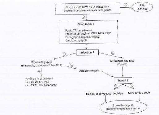 Rupture prématurée des membranes — Wikipédia