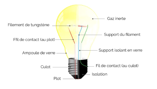 Optimiser l'éclairage domestique : Économie d'énergie et choix d