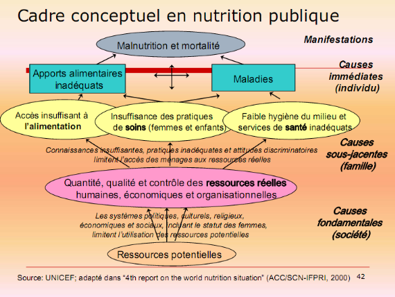 Salmue Mètre ruban à mesurer IMC anatomique avec calculatrice IMC p