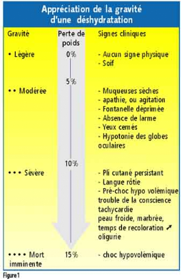 Memoire Online Prise En Charge D Un Nourrisson Presentant Une Deshydratation Aigue Karima Bounoua