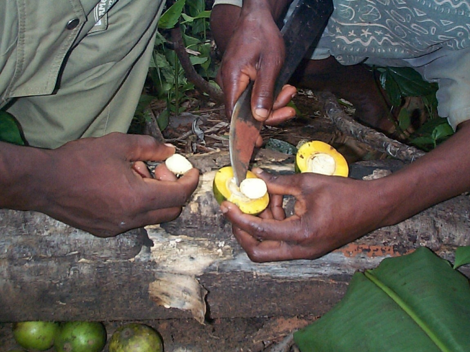 Memoire Online - Etude socioéconomique du système de commercialisation des  amandes de mangues sauvages (irvingia spp) dans l'arrondissement de  Ngoulemakong (Sud cameroun) - Grégoire Tsafack Ninglepong