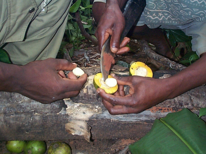 Etude-socioeconomique-du-systeme-de-commercialisation-des-amandes-de-mangues-sauvages-13 La mangue sauvage au Cameroun: Transformation et consommation