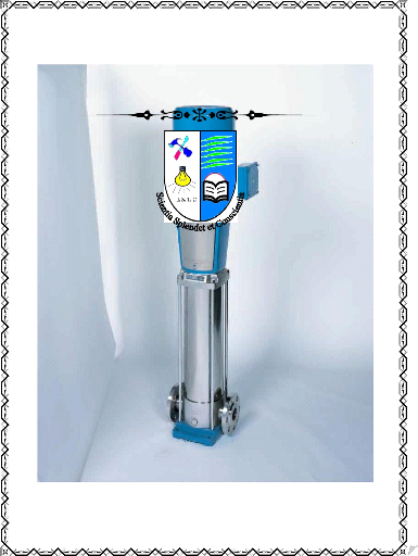 Pompe à eau manuelle Tube droit Pression Puits Pompe à eau En acier  inoxydable Agitation Pompe à eau domestique Pompe à eau de puits Pompe à eau