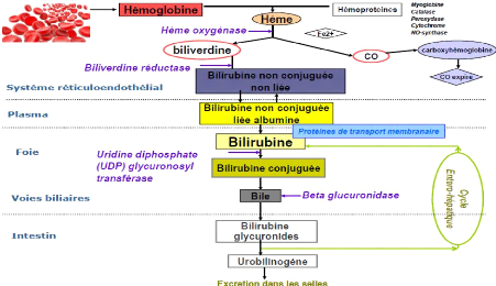 Memoire Online - Profil épidemioclinique, thérapeutique et ...