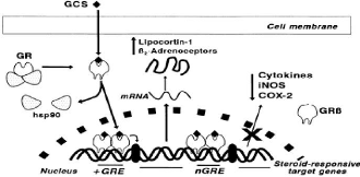 Bénéfices métaboliques et anti-inflammatoires de feuilles d