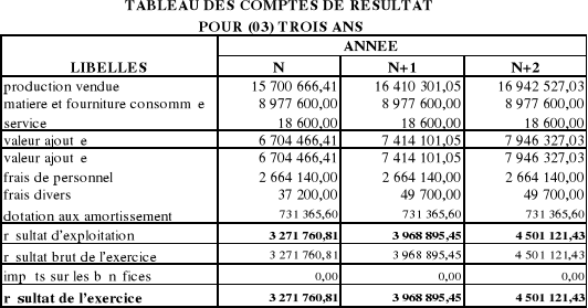 Exemple De Compte D Exploitation Prévisionnel