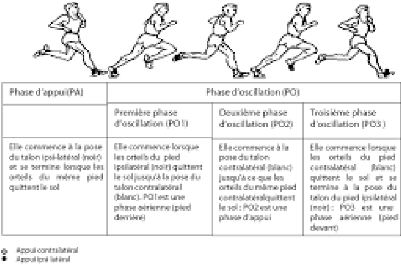 Course à pied : courir plus vite en 6 semaines à l'aide d'un seul exercice  de pliométrie - NATURE HUMAINE